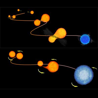 Blue stragglers star formation